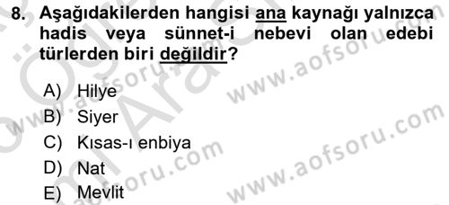 Türk İslam Edebiyatı Dersi 2025 - 2026 Yılı (Vize) Ara Sınav Soruları 8. Soru