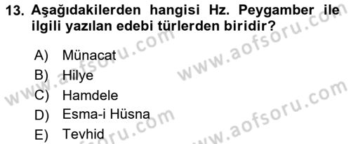 Türk İslam Edebiyatı Dersi 2025 - 2026 Yılı (Final) Dönem Sonu Sınav Soruları 13. Soru