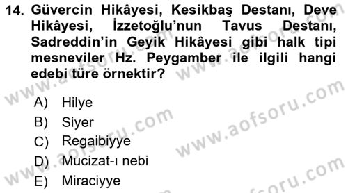 Türk İslam Edebiyatı Dersi 2025 - 2026 Yılı (Final) Dönem Sonu Sınav Soruları 14. Soru
