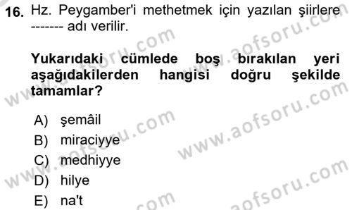 Türk İslam Edebiyatı Dersi 2025 - 2026 Yılı Yaz Okulu Sınav Soruları 16. Soru