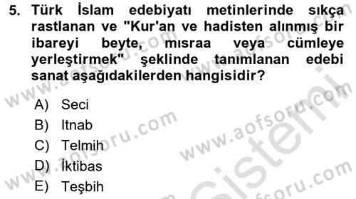 Türk İslam Edebiyatı Dersi 2025 - 2026 Yılı Yaz Okulu Sınav Soruları 5. Soru