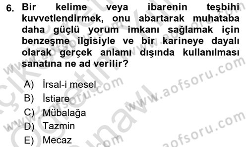 Türk İslam Edebiyatı Dersi 2025 - 2026 Yılı Yaz Okulu Sınav Soruları 6. Soru