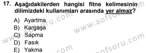 Tefsir Dersi 2012 - 2013 Yılı (Final) Dönem Sonu Sınav Soruları 17. Soru
