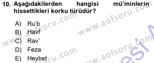 Tefsir Dersi 2015 - 2016 Yılı (Final) Dönem Sonu Sınav Soruları 10. Soru