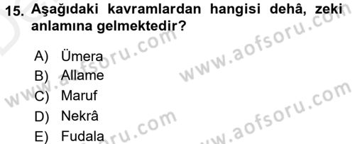 Tefsir Dersi 2015 - 2016 Yılı Tek Ders Sınav Soruları 15. Soru