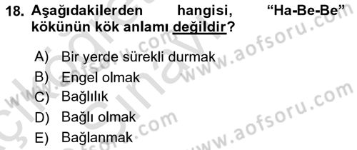 Tefsir Dersi 2018 - 2019 Yılı 3 Ders Sınav Soruları 18. Soru