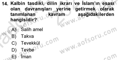 Tefsir Dersi 2021 - 2022 Yılı Yaz Okulu Sınav Soruları 14. Soru