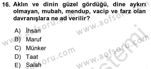 Tefsir Dersi 2021 - 2022 Yılı Yaz Okulu Sınav Soruları 16. Soru