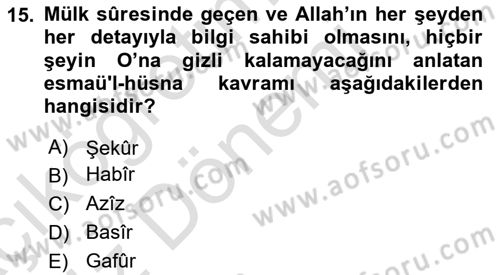 Tefsir Dersi 2024 - 2025 Yılı (Vize) Ara Sınav Soruları 15. Soru
