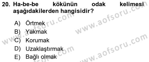Tefsir Dersi 2024 - 2025 Yılı (Final) Dönem Sonu Sınav Soruları 20. Soru
