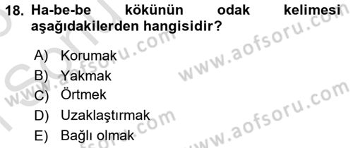 Tefsir Dersi 2025 - 2026 Yılı (Final) Dönem Sonu Sınav Soruları 18. Soru