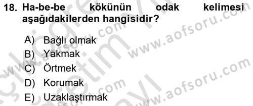 Tefsir Dersi 2025 - 2026 Yılı Yaz Okulu Sınav Soruları 18. Soru