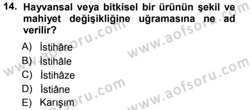 Günümüz Fıkıh Problemleri Dersi 2012 - 2013 Yılı (Vize) Ara Sınav Soruları 14. Soru