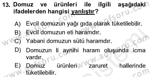 Günümüz Fıkıh Problemleri Dersi 2018 - 2019 Yılı (Vize) Ara Sınav Soruları 13. Soru