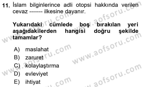 Günümüz Fıkıh Problemleri Dersi 2021 - 2022 Yılı Yaz Okulu Sınav Soruları 11. Soru