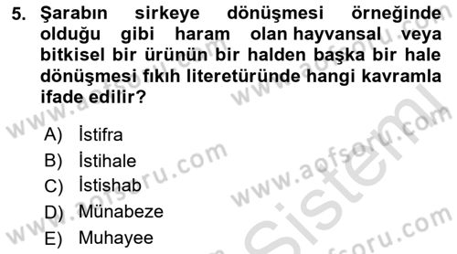 Günümüz Fıkıh Problemleri Dersi 2022 - 2023 Yılı Yaz Okulu Sınav Soruları 5. Soru