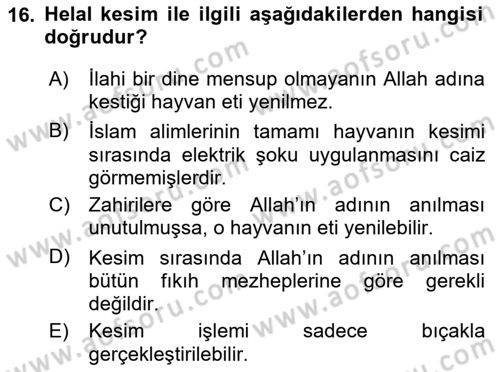 Günümüz Fıkıh Problemleri Dersi 2024 - 2025 Yılı (Vize) Ara Sınav Soruları 16. Soru