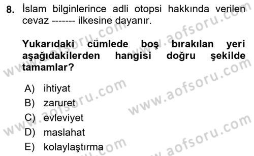Günümüz Fıkıh Problemleri Dersi 2024 - 2025 Yılı Yaz Okulu Sınav Soruları 8. Soru
