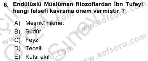 İslam Düşünce Tarihi Dersi 2021 - 2022 Yılı (Final) Dönem Sonu Sınav Soruları 6. Soru