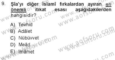İslam Mezhepleri Tarihi Dersi 2012 - 2013 Yılı Tek Ders Sınav Soruları 9. Soru