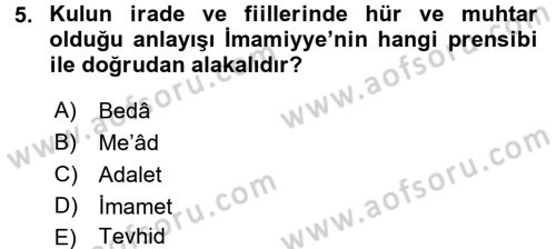 İslam Mezhepleri Tarihi Dersi 2016 - 2017 Yılı 3 Ders Sınav Soruları 5. Soru