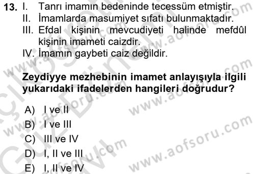 İslam Mezhepleri Tarihi Dersi 2017 - 2018 Yılı (Vize) Ara Sınav Soruları 13. Soru