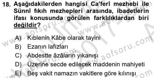 İslam Mezhepleri Tarihi Dersi 2017 - 2018 Yılı (Vize) Ara Sınav Soruları 18. Soru