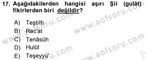 İslam Mezhepleri Tarihi Dersi 2018 - 2019 Yılı (Vize) Ara Sınav Soruları 17. Soru