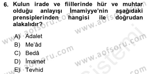 İslam Mezhepleri Tarihi Dersi 2018 - 2019 Yılı (Final) Dönem Sonu Sınav Soruları 6. Soru