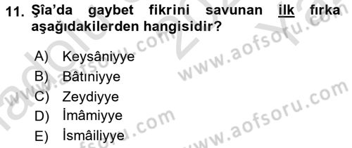 İslam Mezhepleri Tarihi Dersi 2020 - 2021 Yılı Yaz Okulu Sınav Soruları 11. Soru