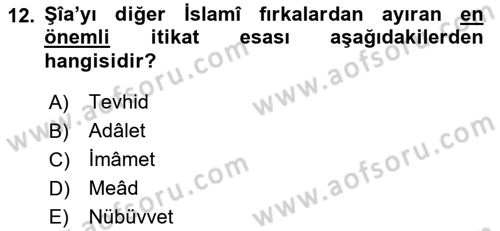 İslam Mezhepleri Tarihi Dersi 2021 - 2022 Yılı Yaz Okulu Sınav Soruları 12. Soru