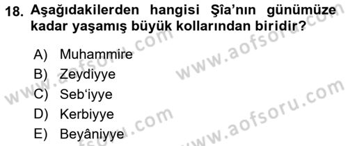 İslam Mezhepleri Tarihi Dersi 2024 - 2025 Yılı (Vize) Ara Sınav Soruları 18. Soru