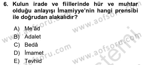 İslam Mezhepleri Tarihi Dersi 2024 - 2025 Yılı (Final) Dönem Sonu Sınav Soruları 6. Soru
