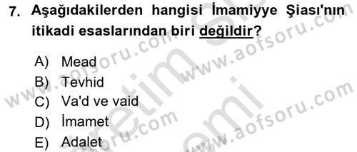 İslam Mezhepleri Tarihi Dersi 2024 - 2025 Yılı (Final) Dönem Sonu Sınav Soruları 7. Soru