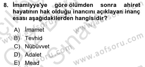 İslam Mezhepleri Tarihi Dersi 2024 - 2025 Yılı (Final) Dönem Sonu Sınav Soruları 8. Soru