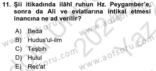 İslam Mezhepleri Tarihi Dersi 2024 - 2025 Yılı Yaz Okulu Sınav Soruları 11. Soru