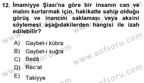 İslam Mezhepleri Tarihi Dersi 2024 - 2025 Yılı Yaz Okulu Sınav Soruları 12. Soru