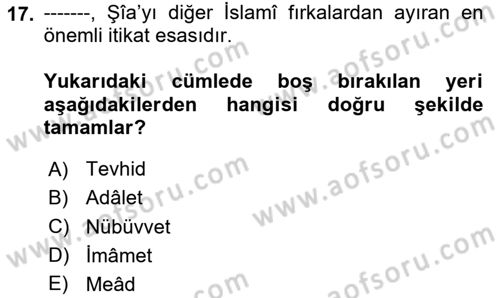 İslam Mezhepleri Tarihi Dersi 2025 - 2026 Yılı (Vize) Ara Sınav Soruları 17. Soru