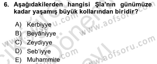 İslam Mezhepleri Tarihi Dersi 2025 - 2026 Yılı (Final) Dönem Sonu Sınav Soruları 6. Soru