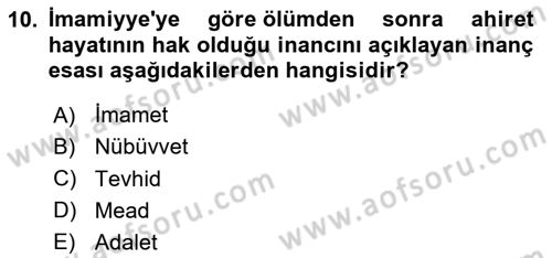 İslam Mezhepleri Tarihi Dersi 2025 - 2026 Yılı Yaz Okulu Sınav Soruları 10. Soru