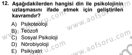 Din Psikolojisi Dersi 2012 - 2013 Yılı (Vize) Ara Sınav Soruları 12. Soru
