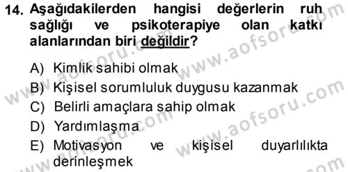 Din Psikolojisi Dersi 2013 - 2014 Yılı (Vize) Ara Sınav Soruları 14. Soru