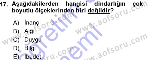 Din Psikolojisi Dersi Ara Sınavı Deneme Sınav Soruları 17. Soru