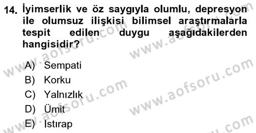 Din Psikolojisi Dersi Ara Sınavı Deneme Sınav Soruları 14. Soru