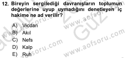 Din Psikolojisi Dersi 2025 - 2026 Yılı (Vize) Ara Sınav Soruları 12. Soru