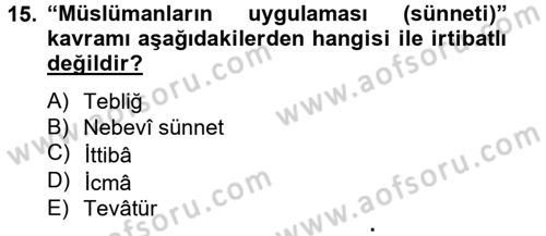 Hadis Dersi 2012 - 2013 Yılı (Vize) Ara Sınav Soruları 15. Soru