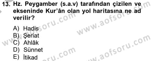 Hadis Dersi 2012 - 2013 Yılı (Final) Dönem Sonu Sınav Soruları 13. Soru