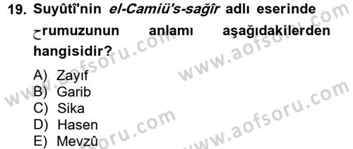 Hadis Dersi 2012 - 2013 Yılı (Final) Dönem Sonu Sınav Soruları 19. Soru