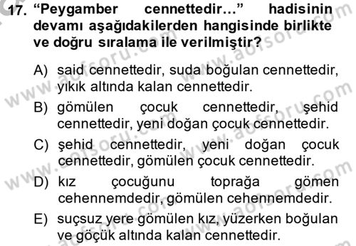 Hadis Dersi 2013 - 2014 Yılı (Vize) Ara Sınav Soruları 17. Soru