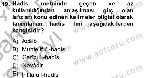 Hadis Dersi 2013 - 2014 Yılı (Vize) Ara Sınav Soruları 19. Soru